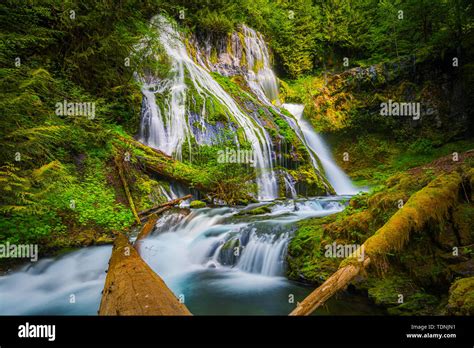 Panther Creek Falls Is A 130 Foot 40 M Waterfall On Panther Creek In