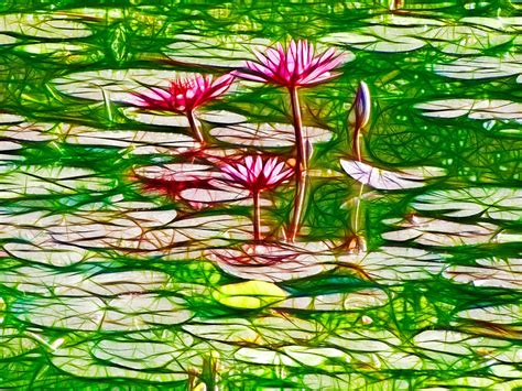Lotus Flower Plants 4 Painting By Jeelan Clark