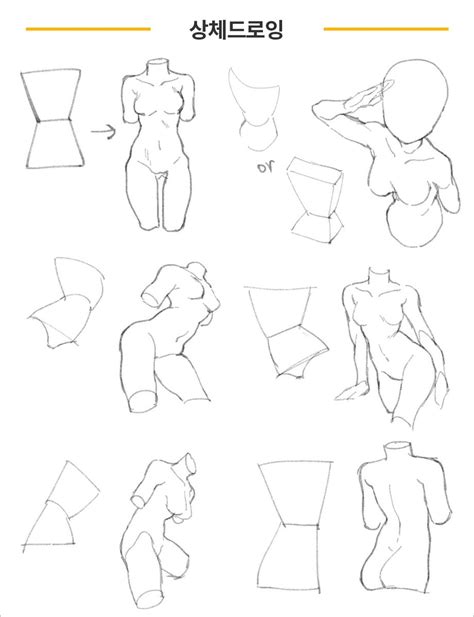 Pin By Dany Hatory On Drawings And Sketch Toturials Female Anatomy