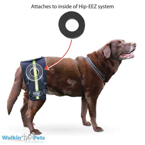 Prevent Or Treat Pressure Sores Hip Eez Dog Brace Donut