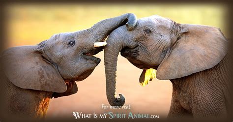 Elephant Symbolism And Meaning Spirit Totem And Power Animal
