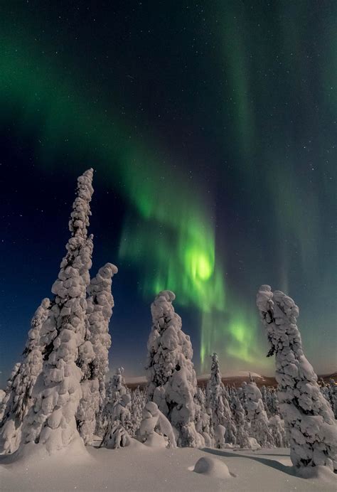 Best Times To See The Northern Lights And The Nightless Night Aurora