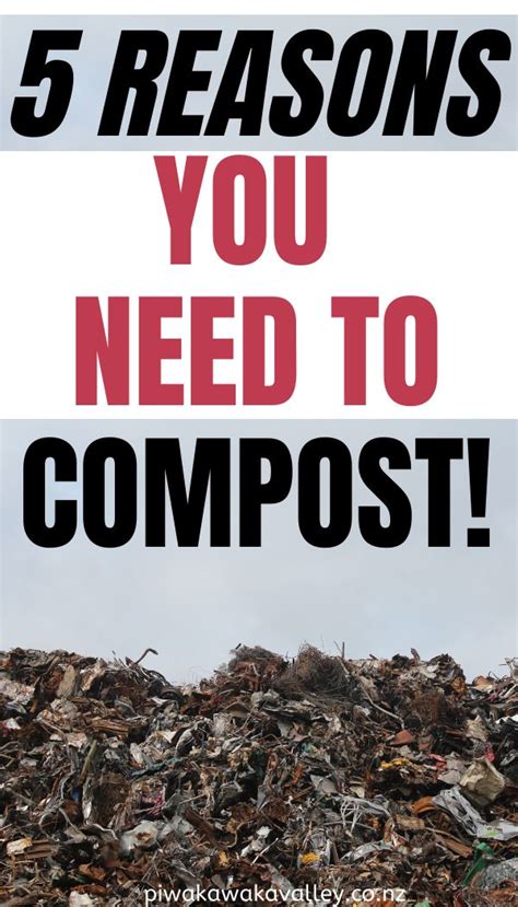 5 Reasons That Compost Is Amazing The Benefits To Composting