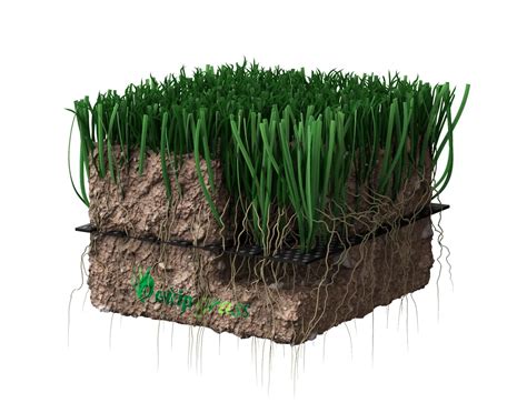 Comprehensive Guide What Is Hybrid Grass Turf Ekip Grass