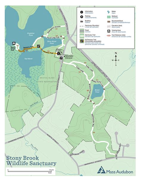Trails At Stony Brook