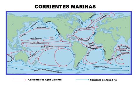 Top 98 Imagen Dibujos De Corrientes Marinas Ecovermx