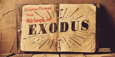 Book Of Exodus Bible