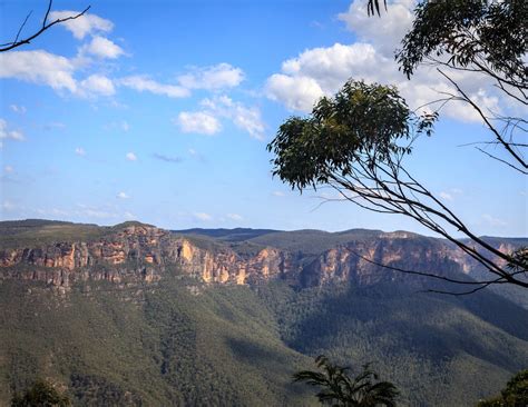 The 22 Best Blue Mountains Walks Easy Hard By Area Artofit