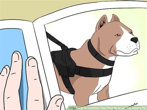 How To Convince Your Parents To Let You Have A Pet 13 Steps