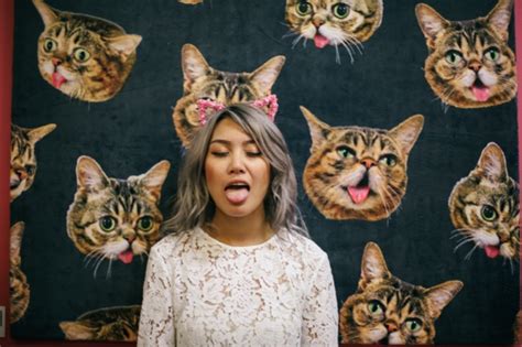 Cat Lovers To Gather In Pasadena For Catcon 2019 The La Beat