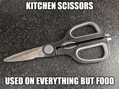 Kitchen Scissors Imgflip