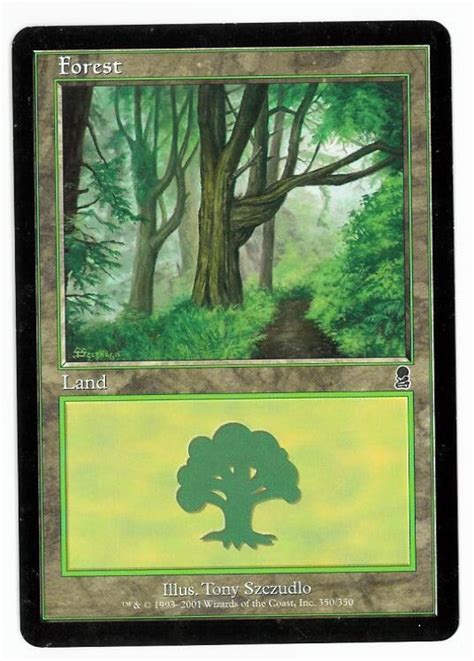 Chameleons Den Magic The Gathering Odyssey Card Forest A