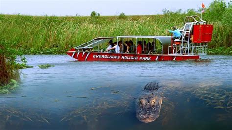 Top 3 Activities In The Florida Everglades