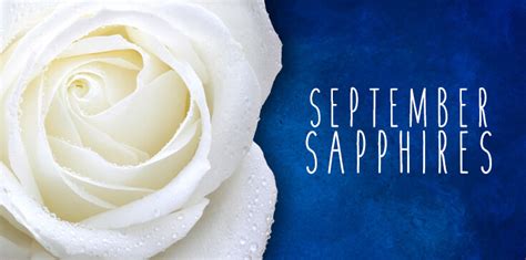 September Birthday Flowers Asters And Sapphire Blue City Line Florist