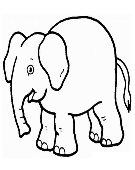 Bagi anda yang berminat silahkan download saja gambar sketsa mewarnai binatang gajah yang anda. Contoh Gambar Gajah - Contoh Gil