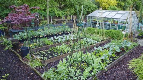 Start A Spring Vegetable Garden Rockaway Sustainable Landscaping