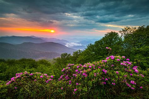 Asheville North Carolina Blue Ridge Mountains Spring Flowers Landscape
