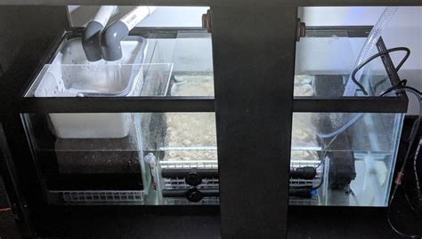 There are a lot of great advantages to using a sump filter, especially on larger systems. DIY 20 Gallon Sump Setup - Odin Aquatics