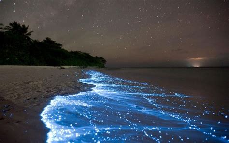 Amazing Natural Phenomena Maldivas Isla Vaadhoo Y Lugares Exóticos