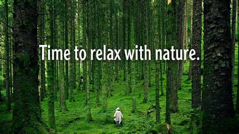 Sleep And Relaxation Time To Relax With Naturerelaxing Youtube