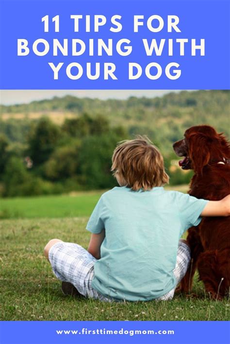 Do You Have A Strong Bond With Your Dog Find Out 11 Tips That Will