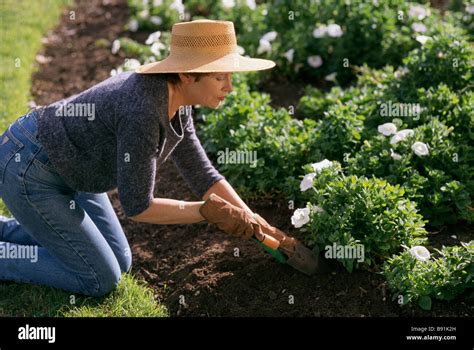 Gardening Old Lady Weeding Hi Res Stock Photography And Images Alamy