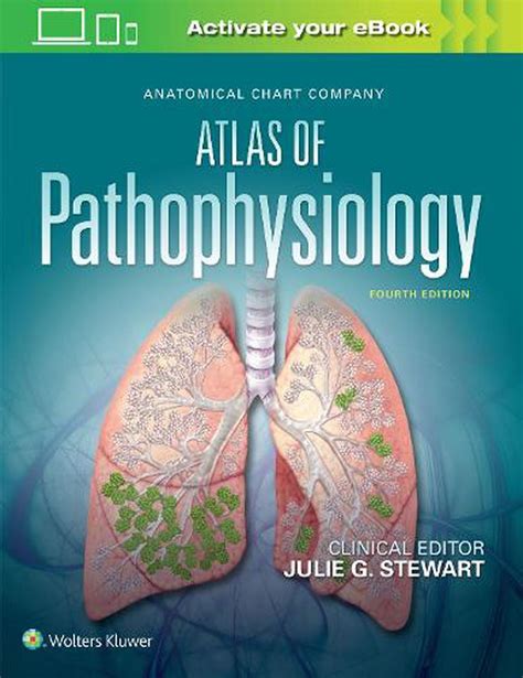 Anatomical Chart Company Atlas Of Pathophysiology By Julie Stewart