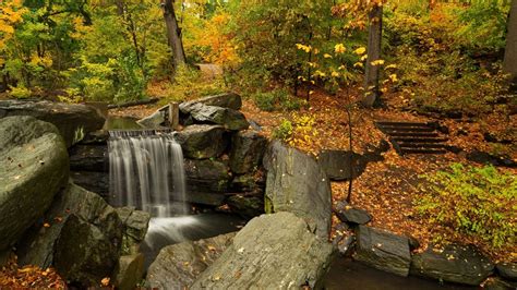Waterfall Stones Foliage Surrounded By Colorful Autumn Trees Forest