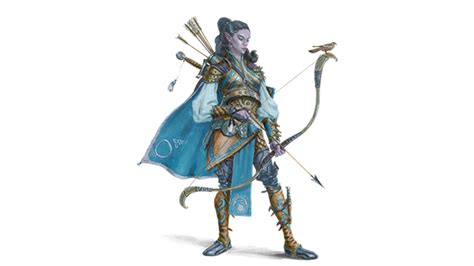 Dandd Human Ranger