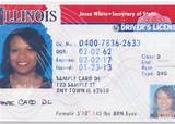 Illinois Secretary Of State License Renewal Pictures