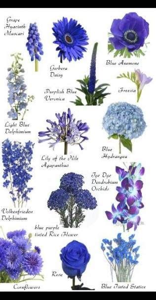 Flowers Types Of Blue 25 Ideas Blue Flower Names Flower Names Blue