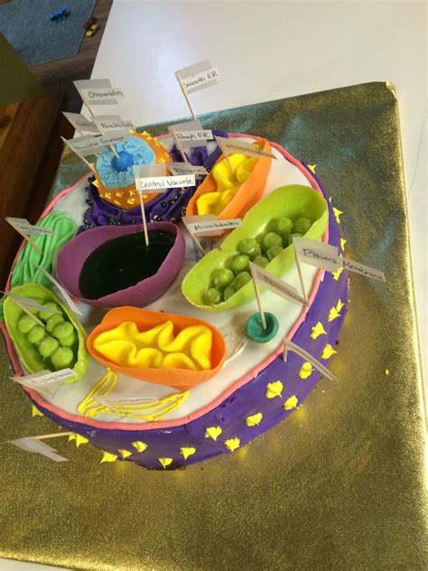 Plant Cell Cake Entirely Edible Homemade Science Cakes Rbaking