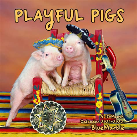 Playful Pigs Calendar 2021 2022 Cute Photo 16 Month