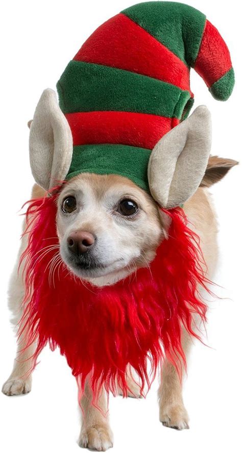 Elf Dogs 30 Pups Dressed As Christmas Elves To Make Spirits Bright