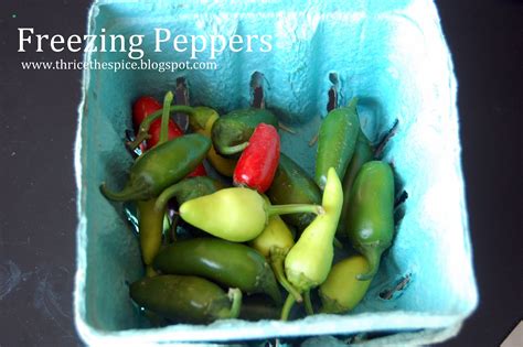 Thricethespice Freezing Peppers