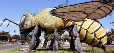 Worlds Largest Killer Bee Hidalgo Roadtrippers