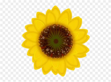 Sunflower drawing aesthetic plant png tumblr yellow amarillo girasol flor tumblr rose png tumblr download minimalist rose aesthetic art png drawing flower aesthetic aesthetic red transparent. Drawing Aesthetic Sunflower - Max Installer