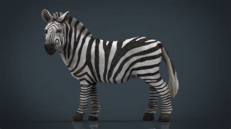 African Zebra 3d Model Cgtrader