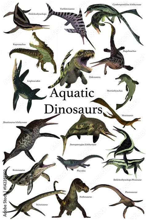Aquatic Dinosaurs A Collection Of Various Marine Reptile Dinosaurs
