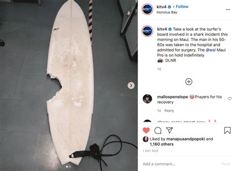Surfer Attacked By Tiger Shark At Site Of Maui Pro Dies Of Injuries Wsl Confirms No Further