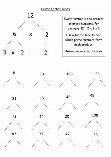 Simplifying Fractions Using Prime Factorization Worksheets Printable
