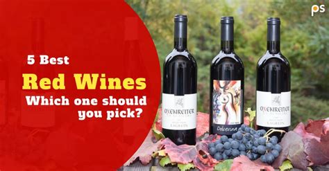 5 Best Red Wines And Which One Should You Pick By Plattershare Team On