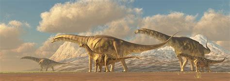 Dreadnaughtus Schrani Late Cretaceous 75 Ma Discovered By Lacovara
