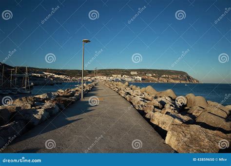 Sesimbra Portugal Stock Photo Image Of Outdoor Sealife 43859650