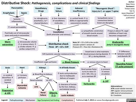 Pathophysiology Of Septic Shock Septic Shock Pathophysiology