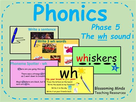 Phonics Phase 5 The Wh Sound Teaching Resources