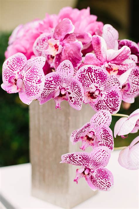 Pink Orchid Floral Centerpiece