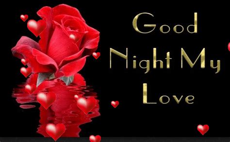 We have a large collection of good night gifs for sweet dreams of your love, your friends, relatives and pals. Best Good Night Rose Gifs