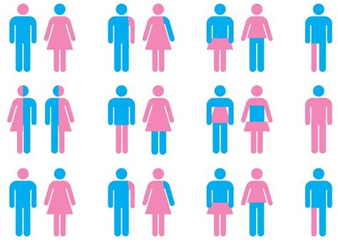 ¿cuál Es La Diferencia Entre Transgénero Y Transexual