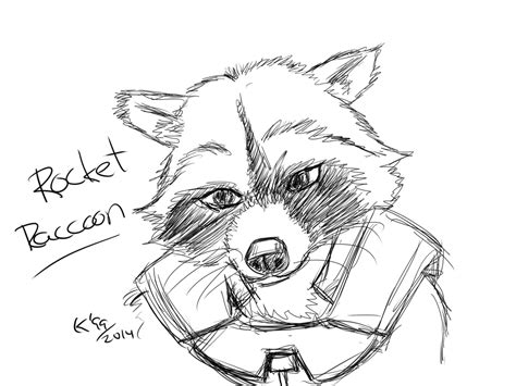 Simple Raccoon Drawing At Explore Collection Of
